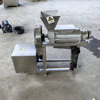 Grote roestvrijstalen fruit- en groentesapcentrifuge, industriële schroefpers voor ananas, citroensap- en residu-scheider