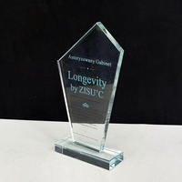 Trophées en cristal personnalisés avec impression couleur intégrale, trophées en cristal optique