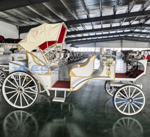 Carrosses de Mariage Électriques Spéciaux pour Visites Touristiques, Prix Usine, Transport de Luxe, à Vendre - Product Image 4