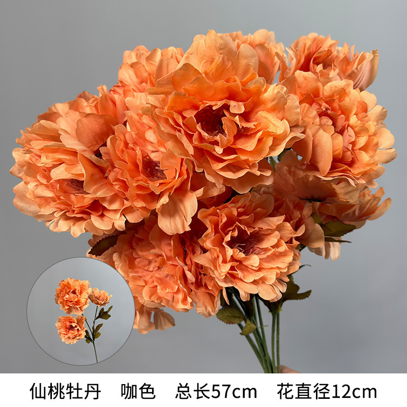 Pivoine pêche féerique