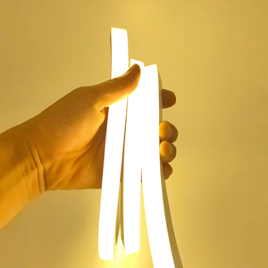 10*10 LED Silicone Neon Flex Strip <b>Light</b> 12V 24V IP67 Waterproof 3000K 4000K 6500K Silicone <b>Rope</b> <b>Light</b> for Outdoor Lighting - Product Image 2