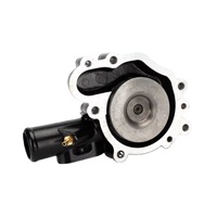 Pompa dell'Acqua 129907-42001 129907-42000 129907-42002 per Motore EC55B EC60C DX55 DH60-7 DX60 DH80 SK60-8 Yanmar 4TNV94 4TNV98 D3.1