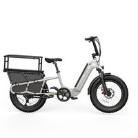 OEM ODM Langschwanz-Elektro-Lastenfahrrad 48V 250W Starke Leistung Große Ladekapazität Elektrisches Lieferfahrrad