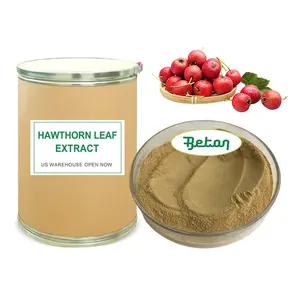 US-Warenlager Bio 10:1 20:1 Hawthorn Fruchtblatt Berry Blatt Extraktpulver 80% Hawthorn Flavon Triterpenoid Saponine