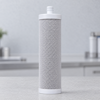 Cartouche de filtre à bloc de carbone CTO de 10 pouces avec connecteur enfichable de 20 mm pour purificateurs d'eau