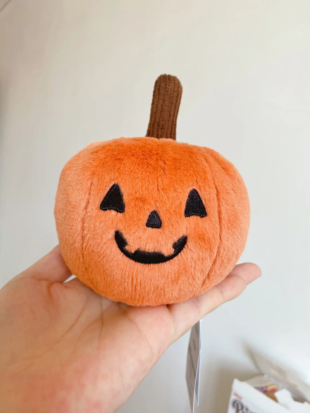Zucca demoniaca