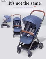 Poussette pliante pour animaux de compagnie, vente en gros, ultra-légère, en forme de canne, de chat, de Buggy, de transport de chien, de luxe, à 4 roues, meilleure vente