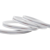 Bandes lumineuses LED néon étanches IP67, fines et étroites, 4/5 mm, couleur blanche unie, SMD2835, 120 LED, certifiées DC12/24V 6W