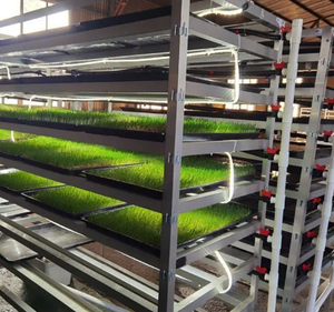 <span class=keywords><strong>Bac</strong></span> <span class=keywords><strong>de</strong></span> <span class=keywords><strong>pâturage</strong></span> en PVC Starfarm 50cm * 4cm, blanc, durable, <span class=keywords><strong>bac</strong></span> <span class=keywords><strong>de</strong></span> plantation hydroponique pour bétail, <span class=keywords><strong>pâturage</strong></span> artificiel - Product Image 3