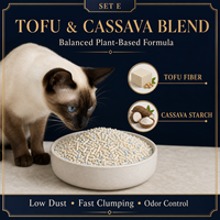 Litière pour chat légère en mélange de tofu et de manioc, faible poussière, contrôle des odeurs, nettoyage facile, commande en gros, marque privée, OEM, ODM pour importateurs
