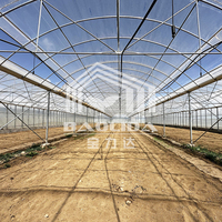 Serre polytunnel, serre de jardin, serre multi-spans, serre de jardinage