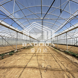 Invernadero Tipo Quonset, Invernadero de Túnel, Invernadero Multi-span - Product Image 5