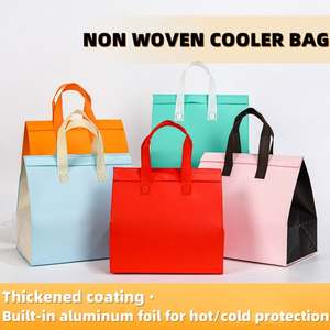 Sac isotherme jetable écologique en non-tissé pour aliments et boissons, sacs de transport pour chiens, sacs à emporter – Vente chaude - Product Image 2