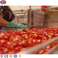 Machine de fabrication de pâte de tomate Ligne de production de pâte de tomate Ligne de sauce tomate et de concentrés