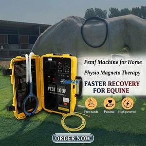 Appareil fiable à boucles magnétiques pulsées <span class=keywords><strong>pour</strong></span> la relaxation musculaire, adapté aux circuits <span class=keywords><strong>de</strong></span> <span class=keywords><strong>course</strong></span>, <span class=keywords><strong>pour</strong></span> chats, chiens, chevaux, moutons, <span class=keywords><strong>pour</strong></span> le cou, le dos et les épaules - Product Image 1