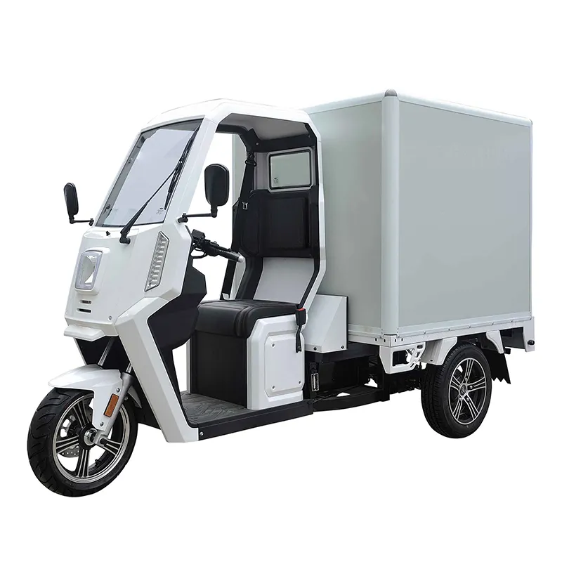 पूरी तरह से संलग्न वैन एक्सप्रेस कार 3000w बिजली Tricycle बॉक्स-प्रकार शेड खींच माल स्टाल Tricycle