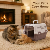 Caisse de transport pour animaux de compagnie approuvée par les compagnies aériennes, boîte de voyage pour chats et chiens, cage portable avec toit ouvrant et fermeture à bouton