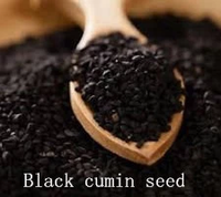 Minyak Jintan Hitam Cold Pressed Alami, Minyak Biji Nigella Sativa, Menutrisi Kulit Kepala, Memperbaiki Rambut Kering untuk Perawatan Rambut, Bahan Baku