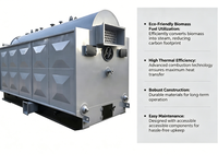 Chaudière à vapeur à tubes eau-chaudre DZH 1-10tph, alimentée au charbon et aux biomasses, pour raffinerie de sucre, chaudière industrielle
