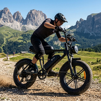 Vélo électrique tout-terrain à pneus larges 20*4.0 pour la plage, la neige, le sable et le gravier