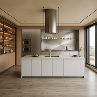 Îlot de cuisine et salle à manger intégrés en acier inoxydable de luxe moderne, mobilier sur mesure pour toute la maison, idéal pour les petits projets hôteliers et résidentiels