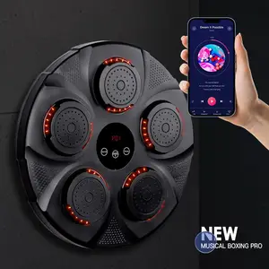 Nuovo stile punzonatrice boxe Training Smart Music Wall Target Pad Light Up Electric Smart Music Boxing Machine per adulti