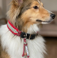 Nouveau Collier pour Chien en Paracorde Tressé et Ajustable, Taille Personnalisée, Tissage Renforcé, pour Chiens de Petites, Moyennes et Grandes Tailles – Collection Festival du Commerce
