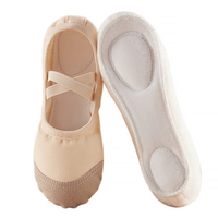 Chaussures de danse classique pour femmes en gros, personnalisées, doublées de polaire, semelle en cuir, entraînement de base, chaussures de danse moderne
