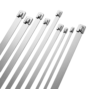 Abrazadera de cable de acero inoxidable autoblocante de 4.6x400mm, abrazadera de cable de acero inoxidable personalizada - Product Image 6
