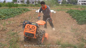 حراثة متعددة الوظائف تعمل بالبنزين، آلة تعشيب قوية للحدائق، محرك حرث دوار بصفين للبيع بسعر مميز MGT730 - Product Image 6