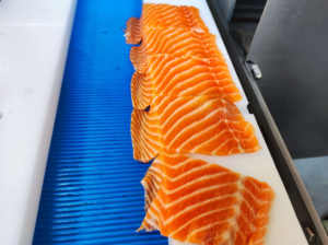 Machine commerciale directe de transformation de samon, fabrication de découpage, tranchage/machine automatique de filet de poisson - Product Image 4