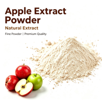 Poudre d'extrait de pomme naturelle hydrosoluble en gros pour boissons et ingrédients de boulangerie