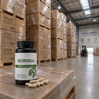 Prix de gros OEM Marque privée Complément alimentaire naturel 100% pur à base de plantes 300 gélules 6000mg Extrait de poudre de feuilles de Moringa en capsules pour adultes