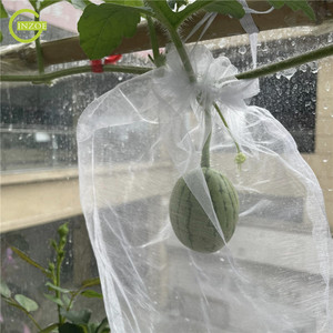Mejor Bolsa <span class=keywords><strong>de</strong></span> Malla Antipájaros e Insectos para Huertos - Product Image 6