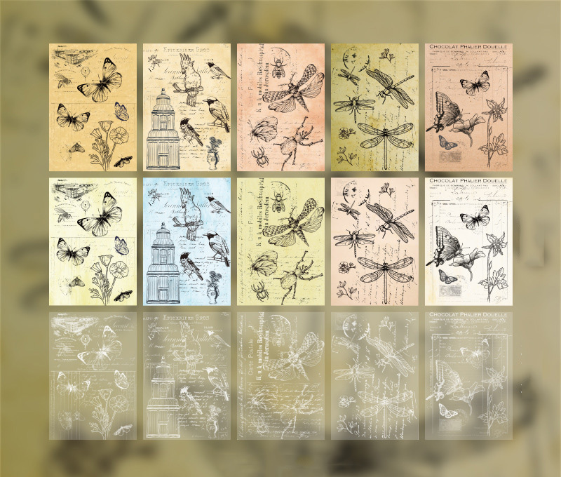 Atlas des insectes