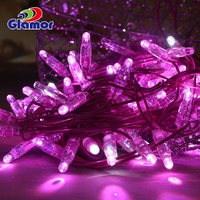 Guirlandes lumineuses LED 230V Câble en PVC Décoration de fête de Noël Éclairage pour les fêtes