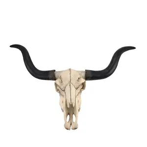 Polyresin/resin animal skull Long Horn Cow Skull Wall Hanging Longhorn Steer