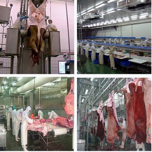 Harga Pabrik Mesin Sembelih Sapi, Perlengkapan Rumah Pembasmi Banteng - Product Image 4