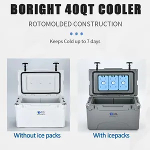 Tùy chỉnh 40qt giá rẻ cấp thực phẩm rotomolded nhựa Ice Cooler Box cho BBQ cắm trại câu cá