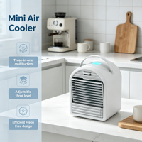 Mini Raffreddatore d'Aria Portatile DC con Serbatoio d'Acqua da 700ml, Umidificatore con Cubetti di Ghiaccio, Ventilatore per Casa e Hotel