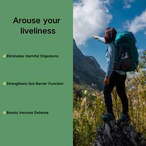 Wormwood kapsul hitam <span class=keywords><strong>Walnut</strong></span> cengkeh & Wormwood suplemen untuk sistem pencernaan, kekebalan & Manajemen tubuh - Product Image 2