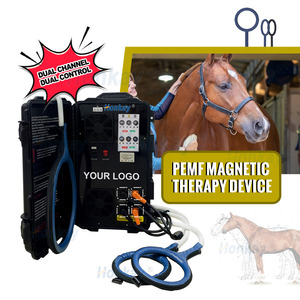 2025 Innovaciones de alta potencia Periostitis Curación natural Caballo Extracorpóreo Pemf Magneto Terapia Caballo Máquina para aliviar el dolor - Product Image 1