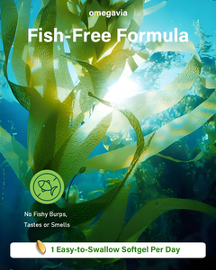 ซอฟต์เจลน้ำมันสาหร่ายดีเอชเอ พรีเมียม แบบ OEM/ODM |   โปรแกรมสนับสนุนสุขภาพสมองและดวงตา |   อาหารเสริมโอเมก้า 3 สำหรับคนทานมังสวิรัติ ปราศจากสาร GMO - Product Image 4