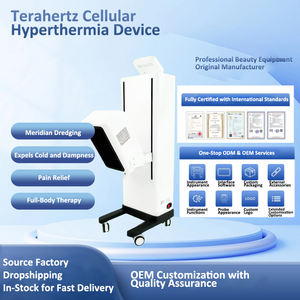Masseur Gyromagnétique Terahertz Portatif pour Soulager les Douleurs Corporelles Exercice Soins de Santé Appareil de Physiothérapie Russe Thérapie Physique - Product Image 3