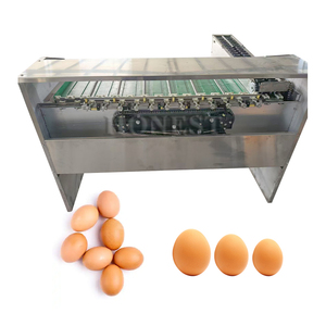 Trieuse d'œufs de poulet entièrement automatique à 5/7 niveaux, machine de tri des œufs à vendre - Product Image 6