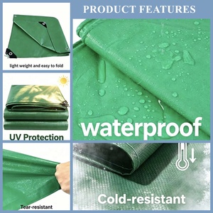 Film <span class=keywords><strong>de</strong></span> <span class=keywords><strong>paillage</strong></span> agricole d'urgence extérieur 120 g/m² en PE tissé, écologique, imperméable, anti-herbe, pour usage <span class=keywords><strong>de</strong></span> construction, Chine - Product Image 2