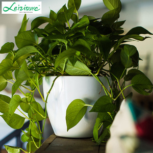 Maceta Redonda Pequeña para Cultivo de Plantas HG-0815-2, Nuevo Diseño, Macetas para Suculentas, Orquídeas, Decoración de Jardín y Hogar - Product Image 4