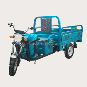 ECE 600W Differential Motorized Open Body Large Screen Digital Instrument Panel Electric Tricycle for Cargo Use - Product Image 2