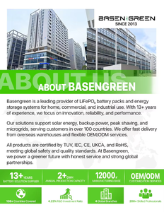 Batería Lifepo4 de Alta Calidad Basen Green de 5Kwh, 11Kwh, 15Kwh, 51.2v, 48v, 100ah, 230ah, 314ah con BMS Integrado para Almacenamiento de Energía en el Hogar - Product Image 5