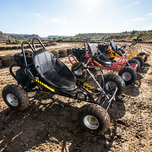 Buggy tout-terrain à quatre roues pour adultes, kart de course tout-terrain <span class=keywords><strong>avec</strong></span> <span class=keywords><strong>moteur</strong></span> 196CC, vitesse maximale de 60 km/h - Product Image 6